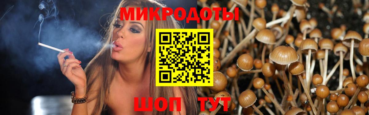 Галлюциногенные грибы Cubensis Кимры